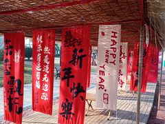 -荷兰花海