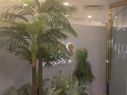 -八佰伴8008星级形象店
