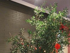 -八府香鸭·啫啫煲(华山路店)