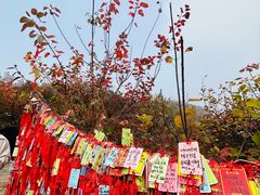 -香山公园