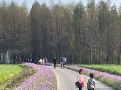 -溱湖国家湿地公园