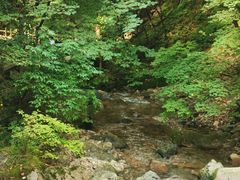 -本溪汤沟绿石谷森林公园