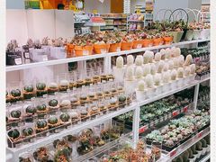 -KKV(深圳宏发大仟里店)