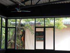 -横琴蚝苑·地道农家菜