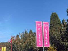 -龙口南山旅游景区