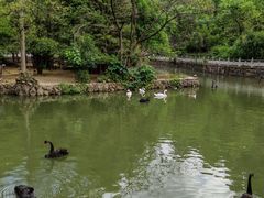 -黔灵山公园