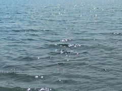 -漳泽水库水上公园