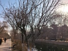 -元大都城垣遗址公园