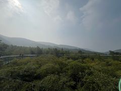 -陶祖圣境风景区