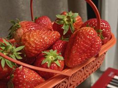 -家乐福会员店(成山路店)