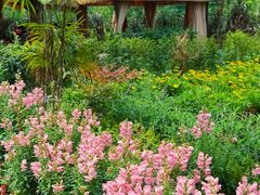 -苏记溪河鲢鱼庄(天府新区店)