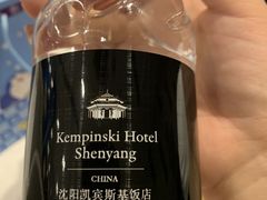 -沈阳瑞士酒店