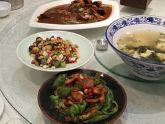 -邵年鸽(杨庄店)