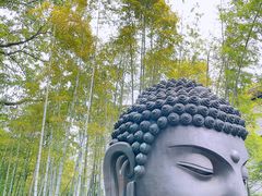 -杭州植物园
