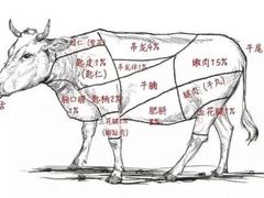-伟记牛肉(金鸿公路店)