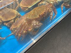 -盒马鲜生(王府广场店)