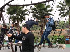 -枫香湖儿童公园