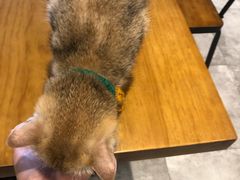 -凯德广场(武胜路店)