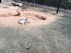 -上方山森林动物世界