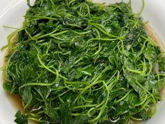 -七裕庄(凯旋南路店)