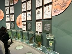 -中国湿地博物馆
