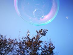 -白塘生态植物园