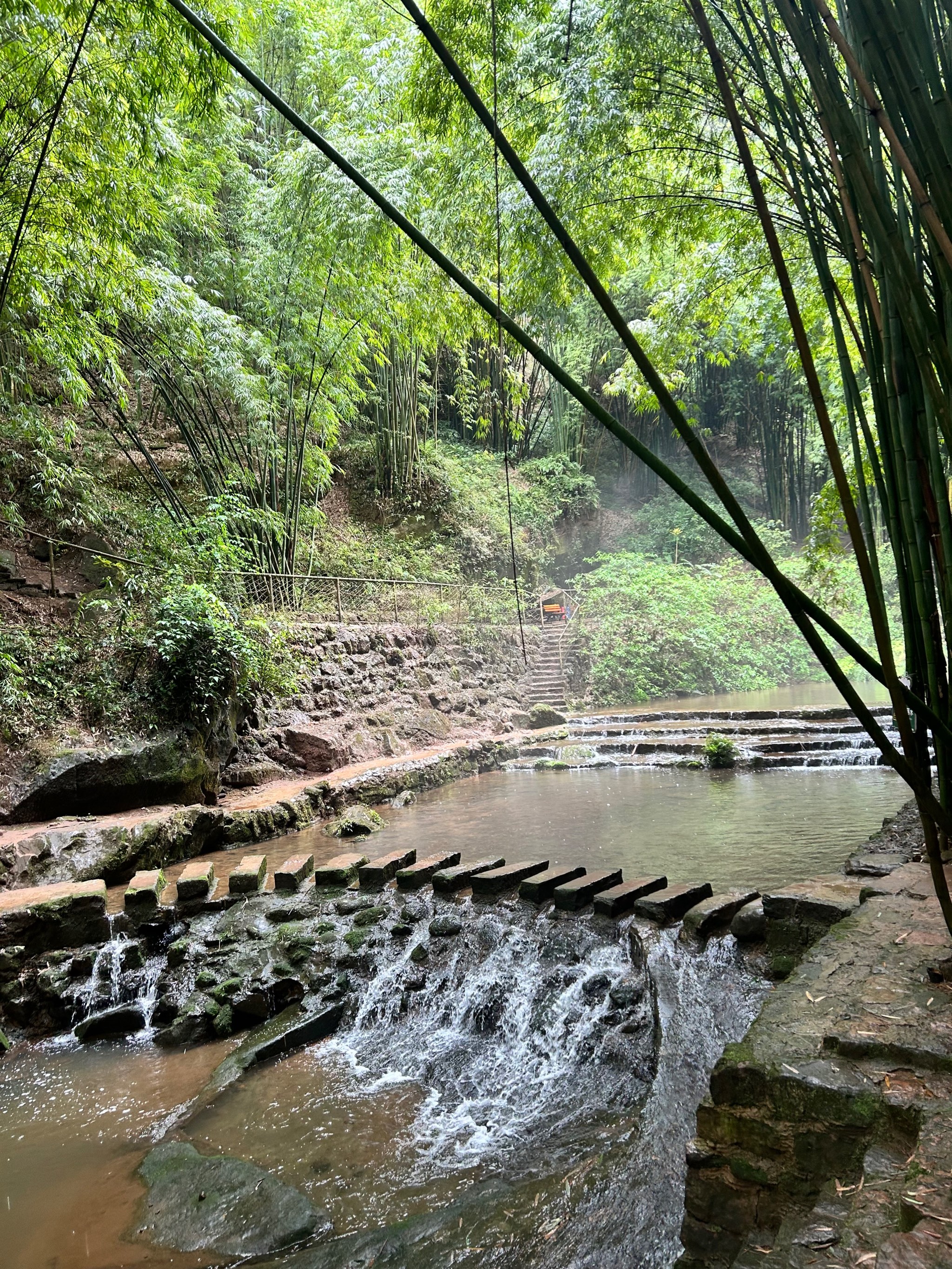 川西竹海景区电话图片