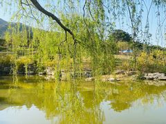 -北京西山国家森林公园