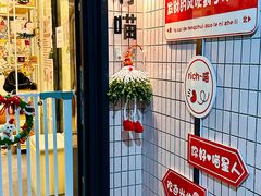 -有喵·猫咖·狗咖·30几只猫10只小狗(岗厦店)