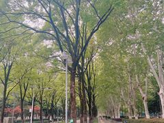 -后襄河公园