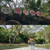 咖啡庄园不仅可以喝咖啡