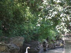 -兰亭风景区