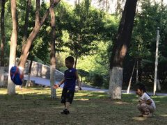 -长白岛森林公园