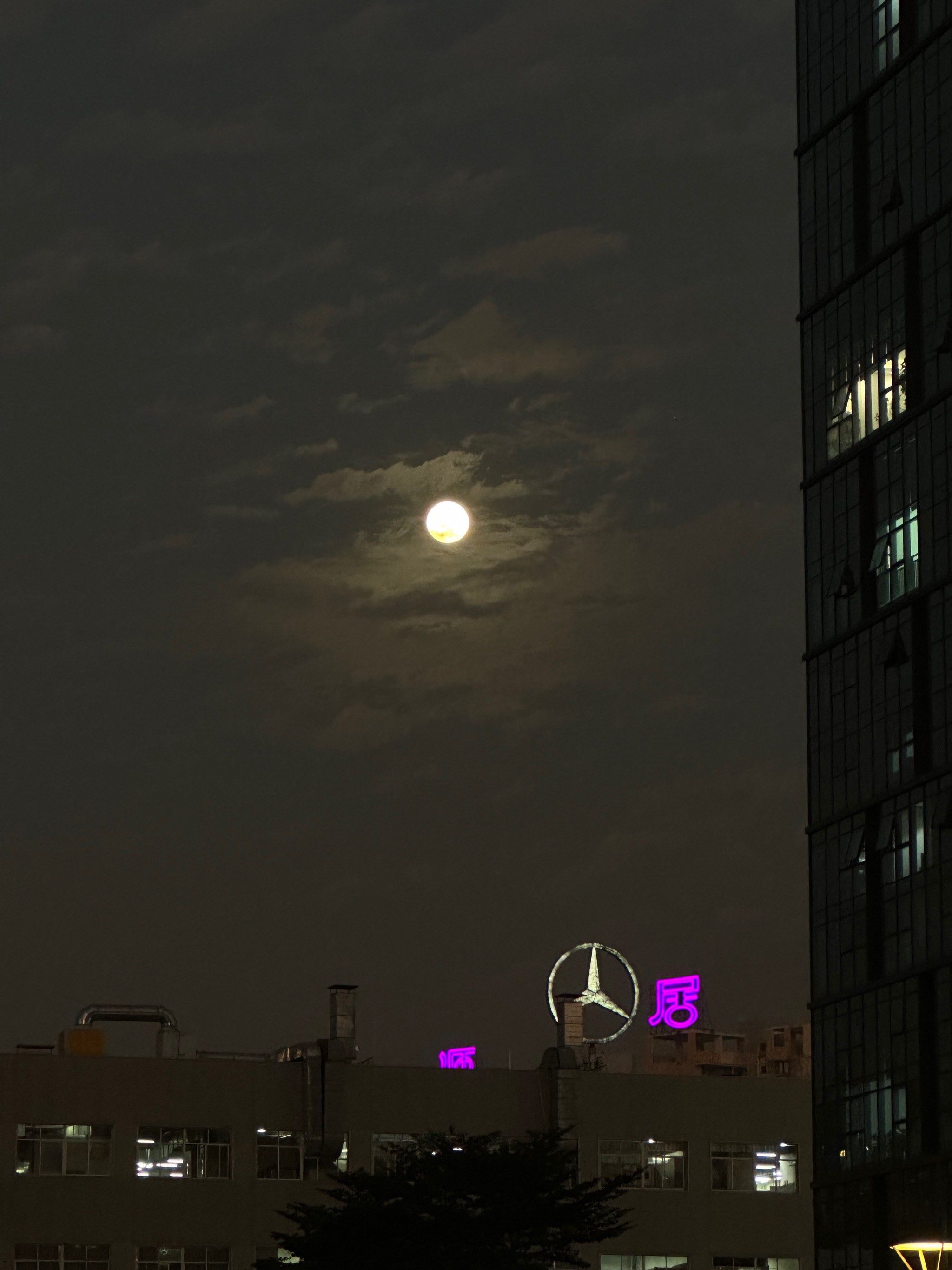 天天领红包昨天晚上回去的路上,看到这月色真美啊,拍了下来,也没别的