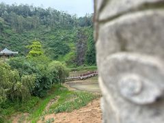 -水濂山森林公园