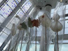 -星璞全日餐厅·高空自助餐(深铁铂尔曼酒店)