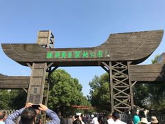 -溱湖国家湿地公园