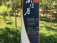 -小绿谷公园