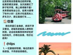 -日照海滨国家森林公园