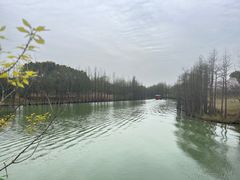 -苏州太湖国家湿地公园