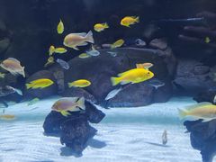 -上海海洋水族馆