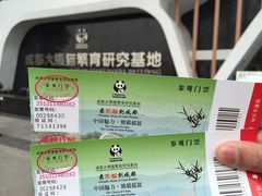 -成都大熊猫繁育研究基地
