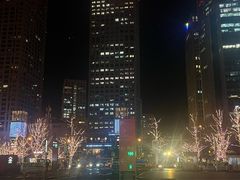 -星·South Beauty·俏江南(国贸店)