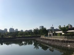 景点-月湖公园