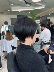 点击看大图 -GANO HAIR