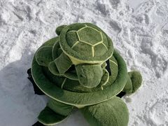 -北京南山滑雪场