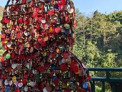 -西双版纳原始森林公园