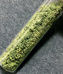 -Oasis Beauty水磨坊科技美肤中心