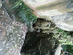 android_upload_pic-竹吟山房