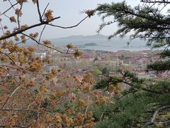 -信号山公园